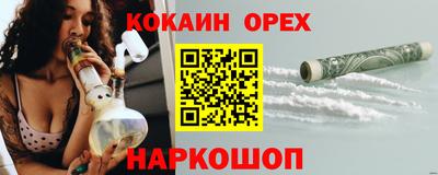 индика Можга