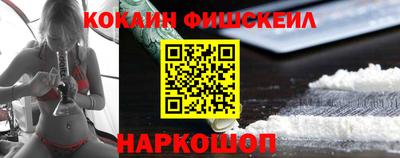 индика Можга