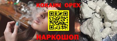прущие грибы Можайск