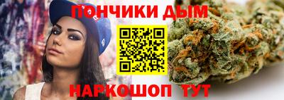 индика Можга