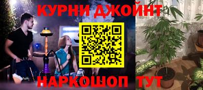 индика Можга