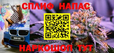 прущие грибы Можайск