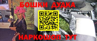 индика Можга