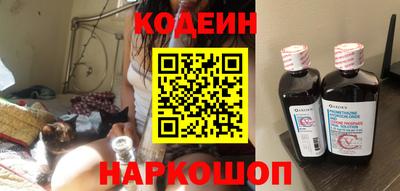индика Можга