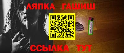 индика Можга