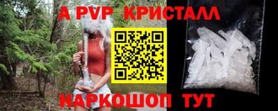 индика Можга