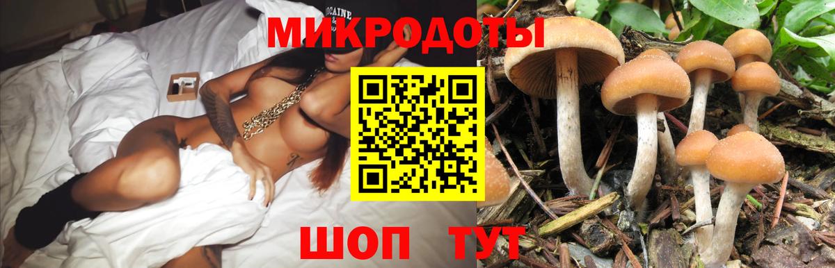 Гурьевск  Галлюциногенные грибы ЛСД  Вход с VPN 
